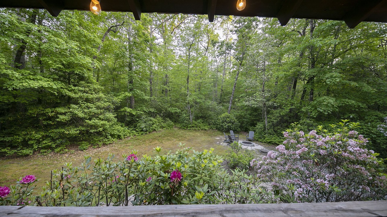 Photo of Outdoor in Cedar Mountain