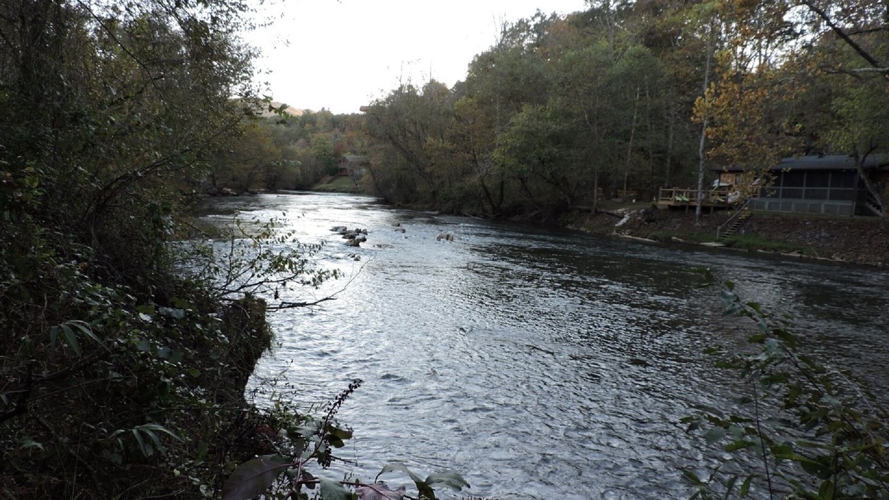 Photo of Others in Murphy