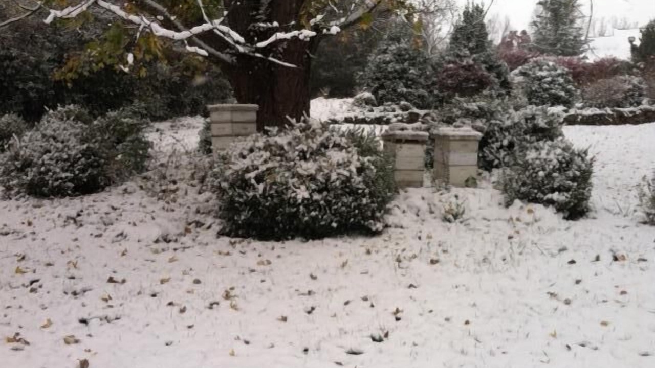 Photo of Others in Fairview