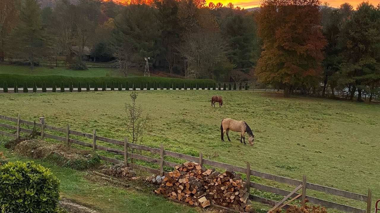 Photo of Outdoor in Fairview