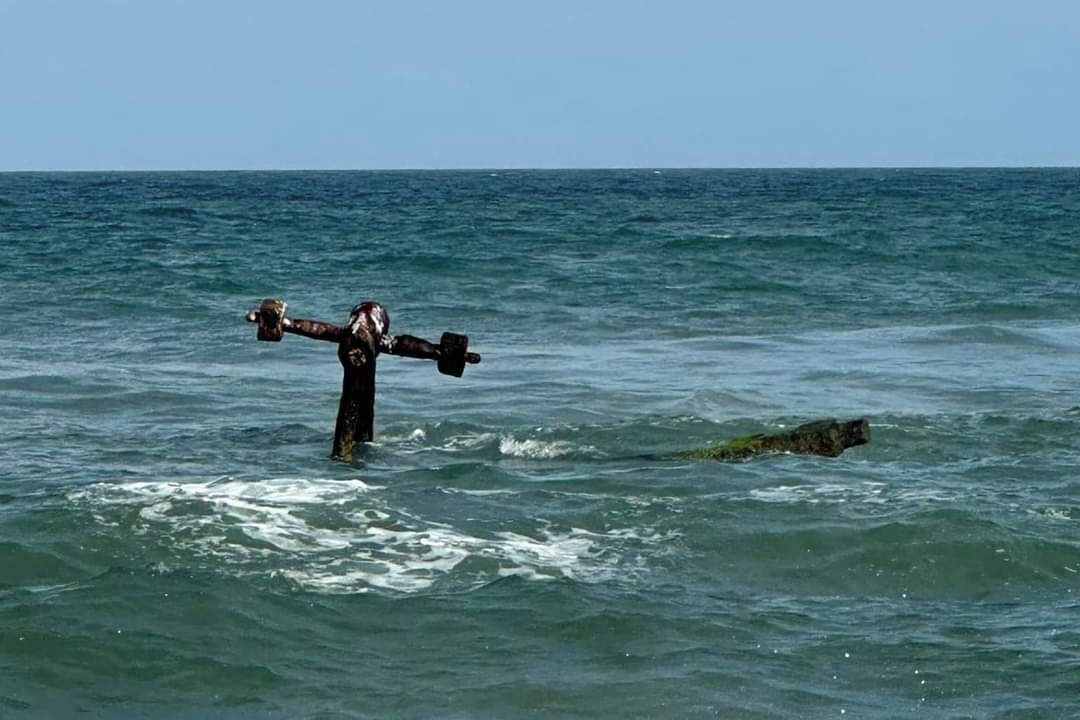 Photo of Others in Salvo