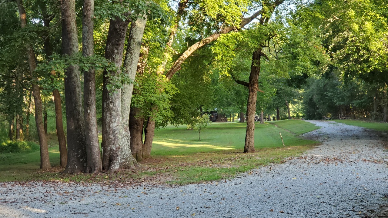 Photo of Others in Elon