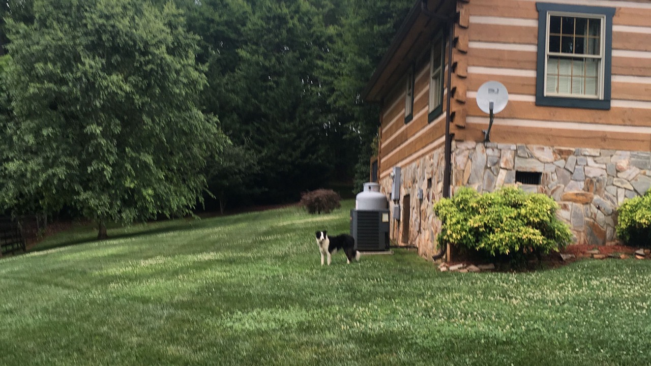 Photo of Outdoor in Mount Airy