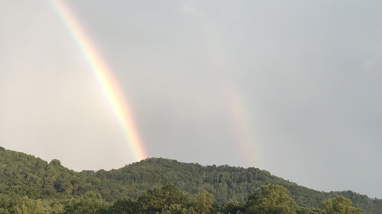 Photo of Others in Candler