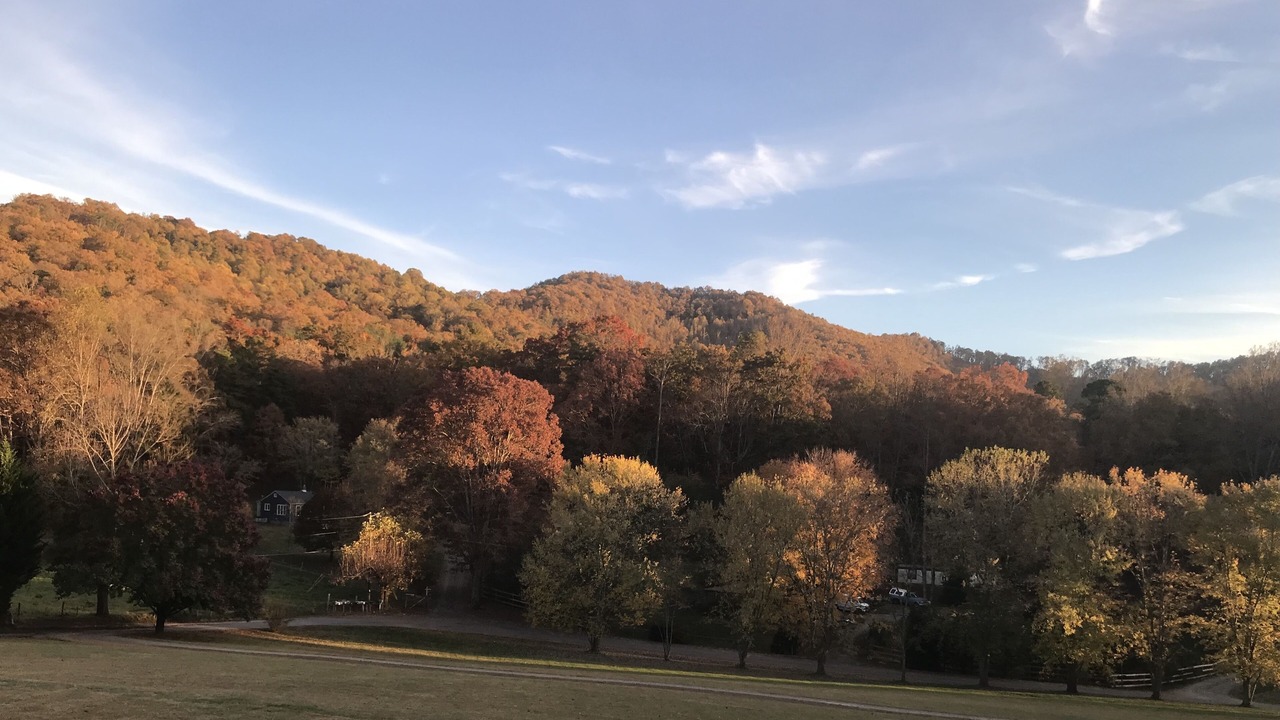 Photo of Others in Candler