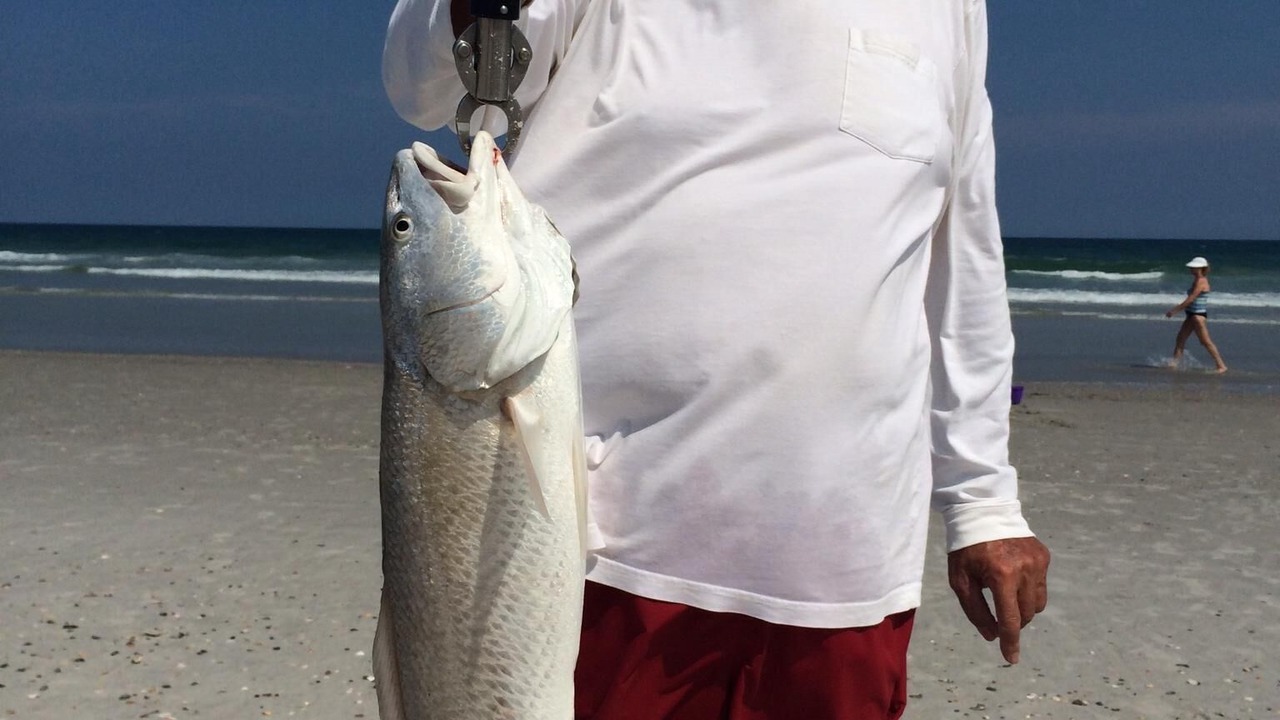 Photo of Others in Wilmington