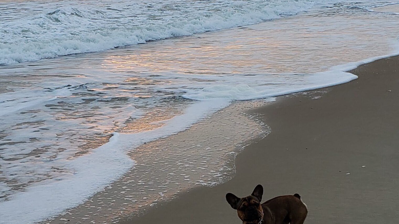 Photo of Others in Kill Devil Hills