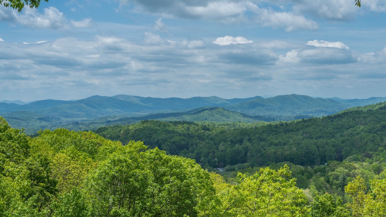 Photo of Others in Upper Peachtree