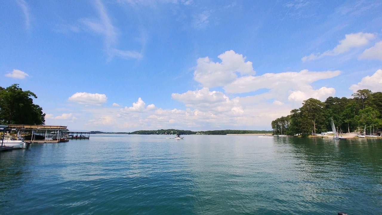 Photo of Others in Seneca