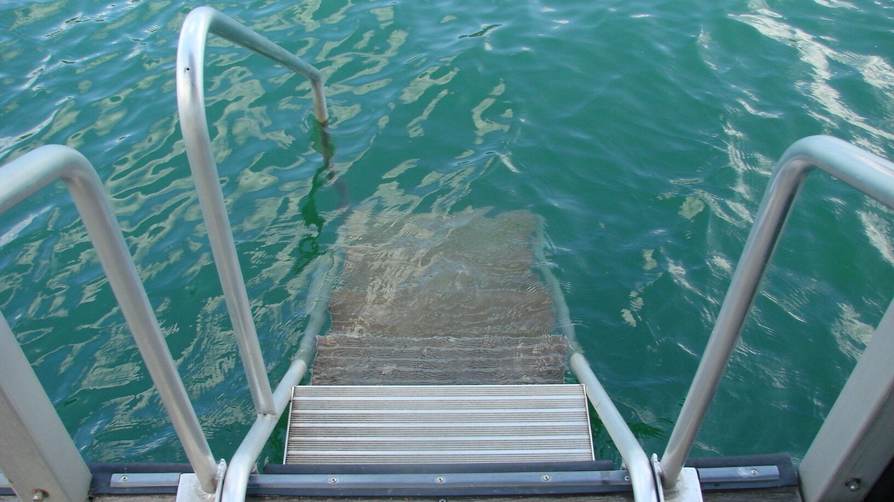 Photo of Others in Seneca