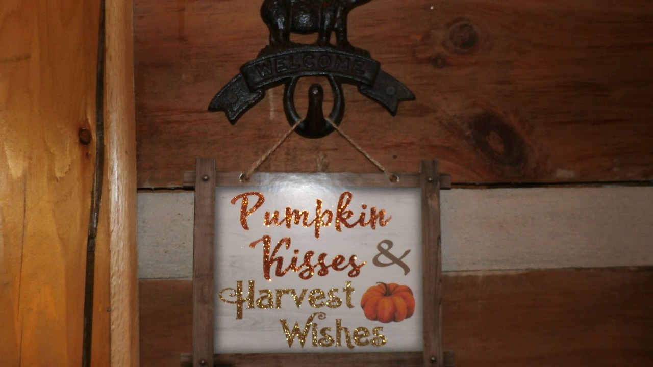 Photo of Others in Maggie Valley