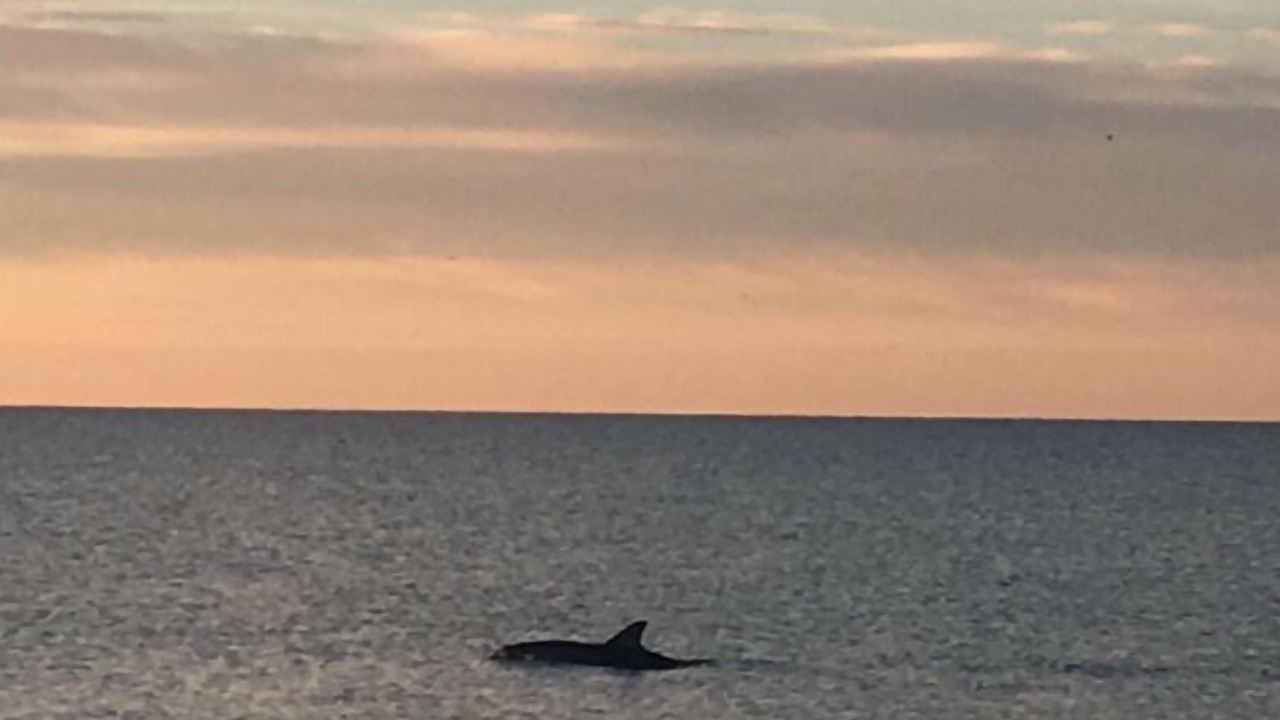 Photo of Others in Hilton Head Island