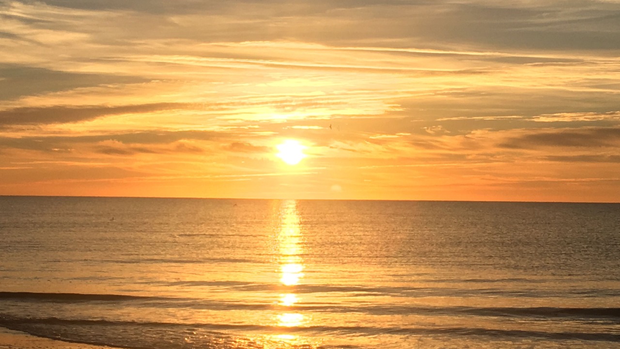 Photo of Others in Hilton Head Island
