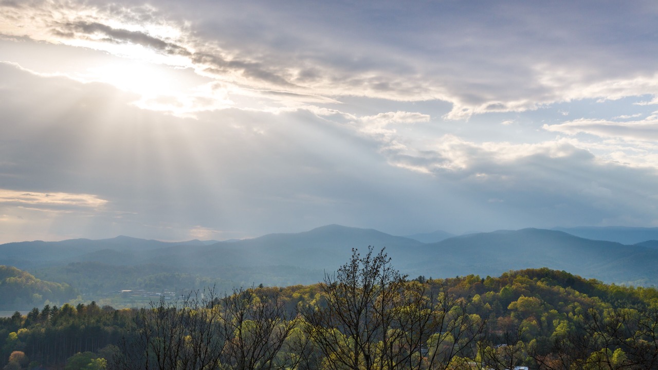 Photo of Others in Pisgah Forest