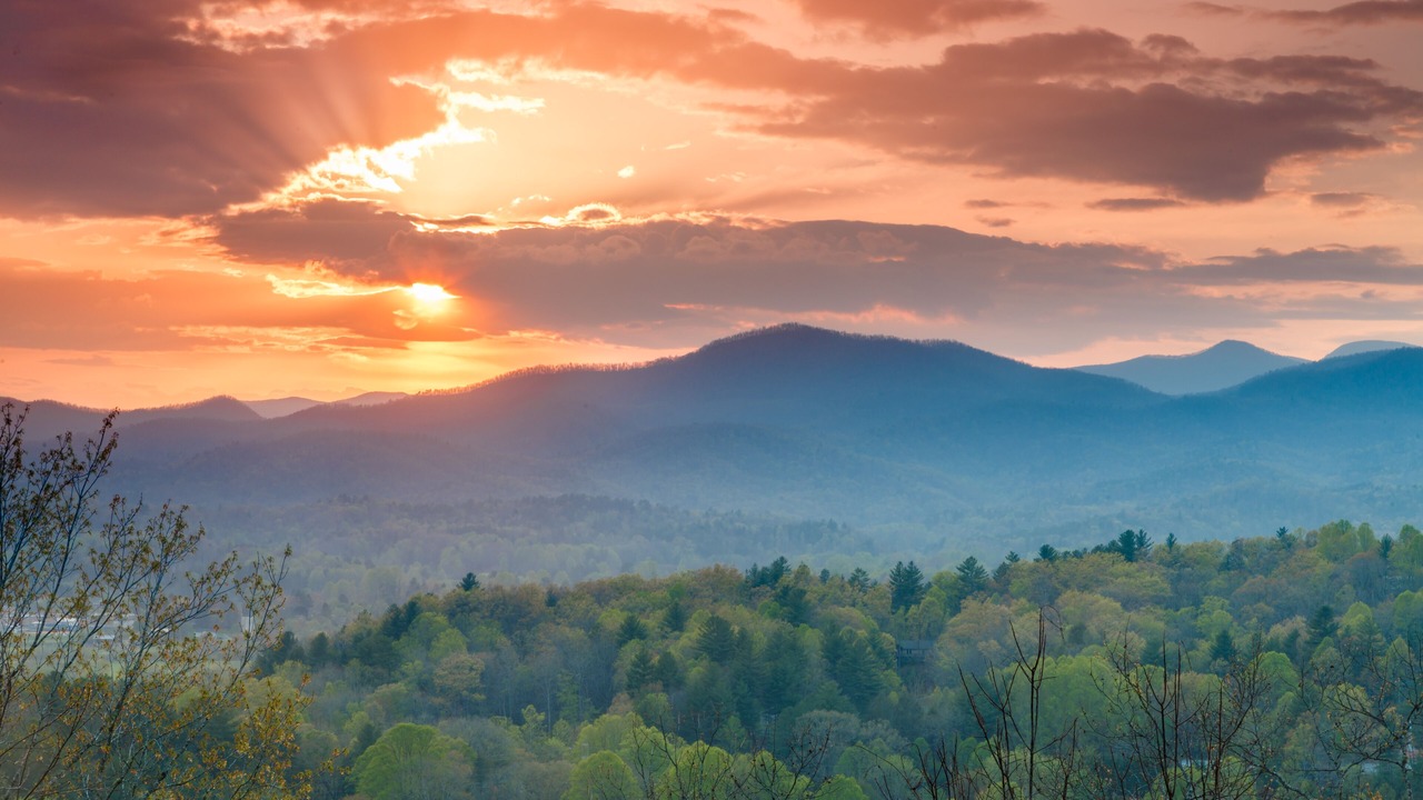 Photo of Others in Pisgah Forest