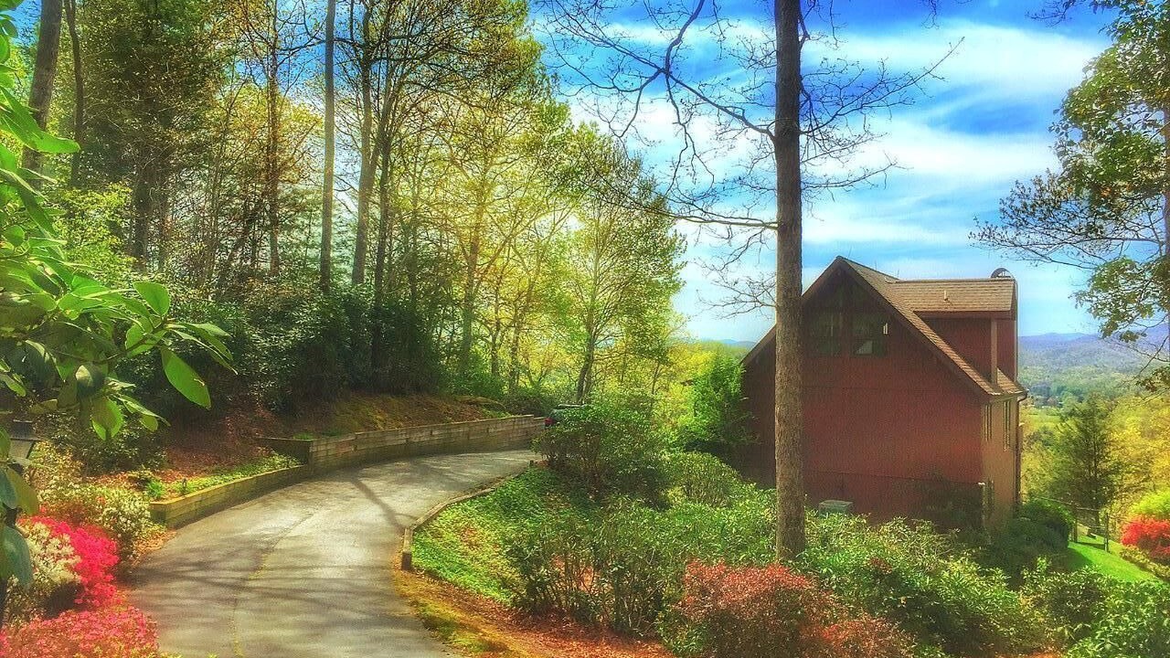 Photo of Outdoor in Pisgah Forest