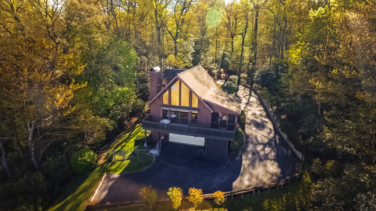 Photo of Outdoor in Pisgah Forest