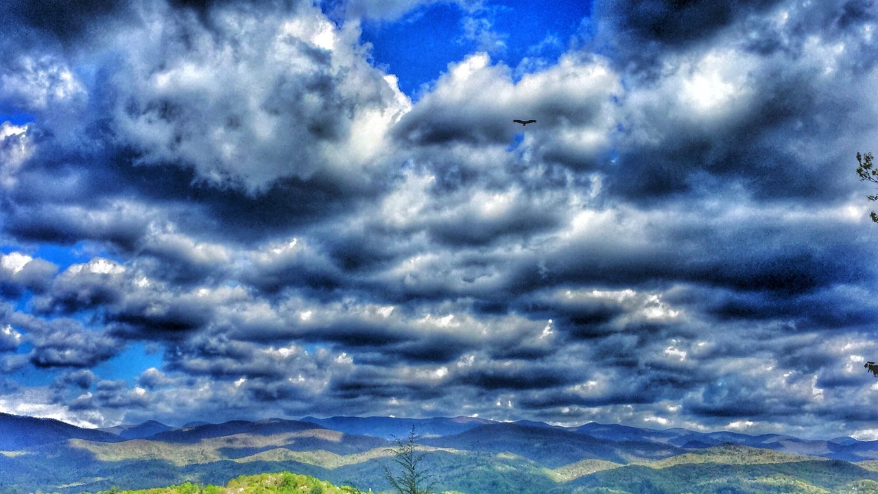 Photo of Others in Pisgah Forest