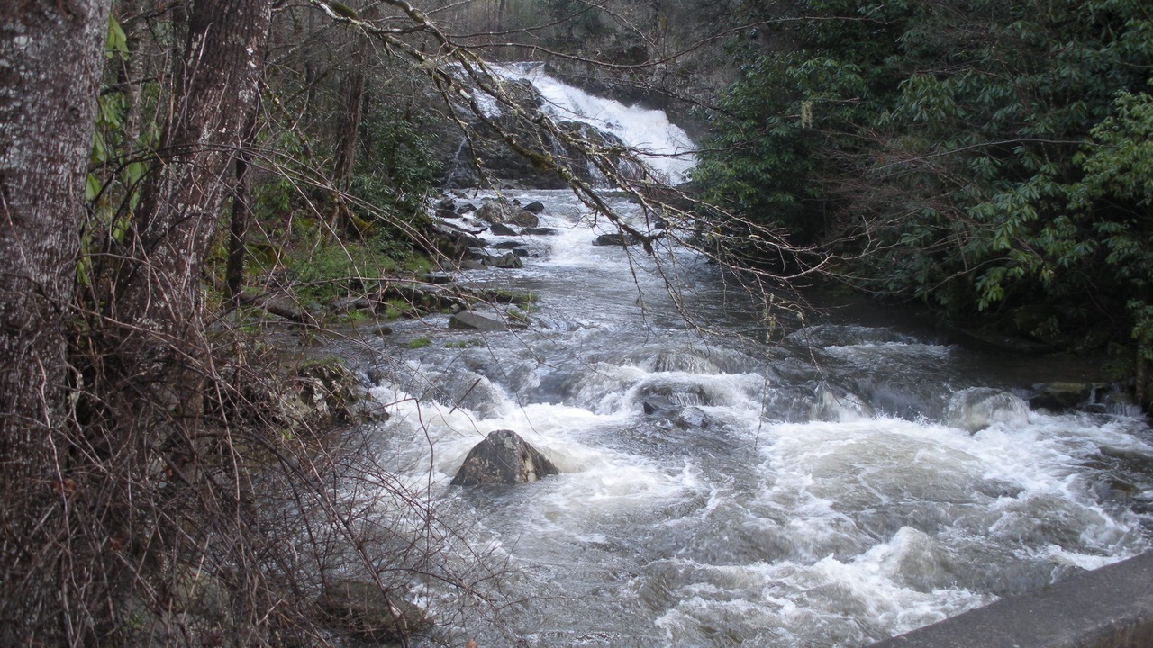 Photo of Others in Topton