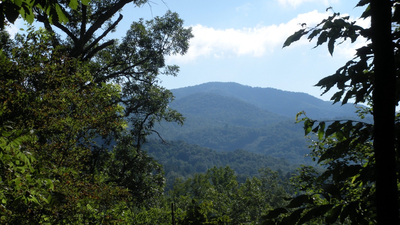 Photo of Outdoor in Topton