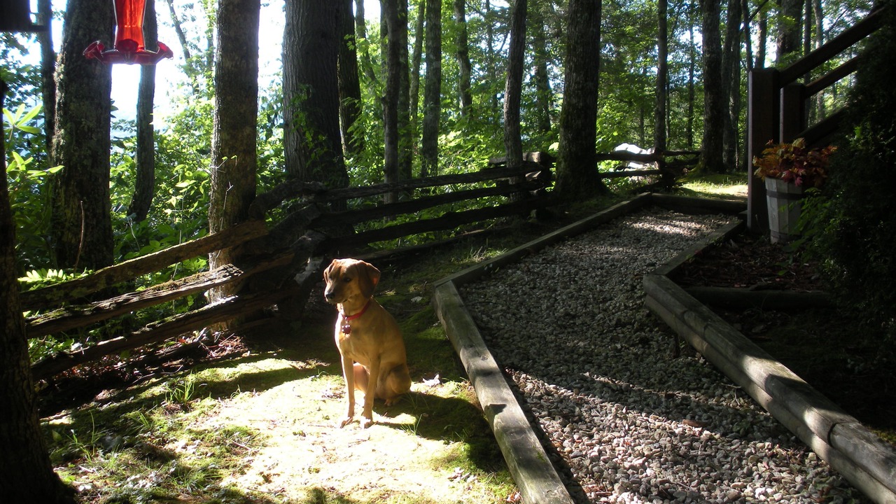 Photo of Others in Topton