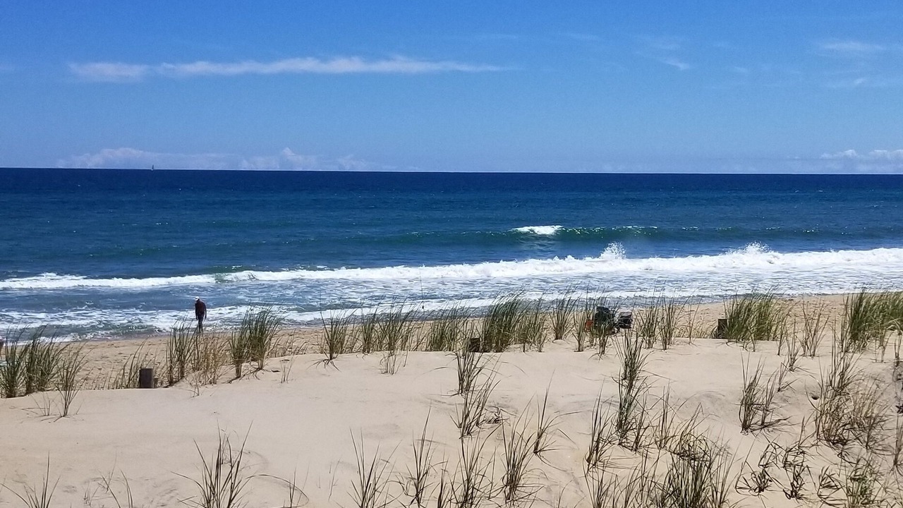 Photo of Others in Kitty Hawk