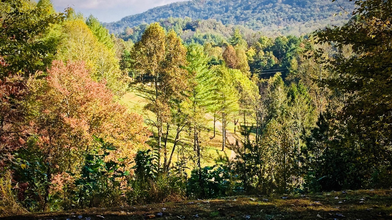 Photo of Outdoor in Bryson City