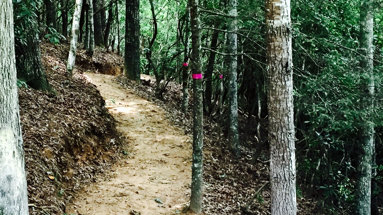 Photo of Others in Bryson City