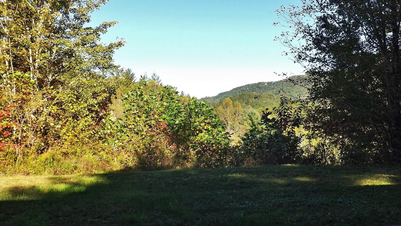 Photo of Others in Bryson City