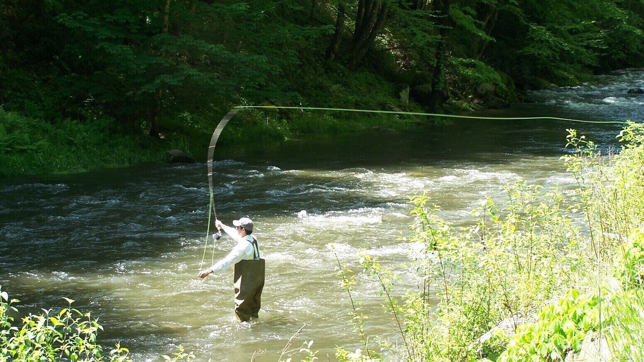 Photo of Others in Topton