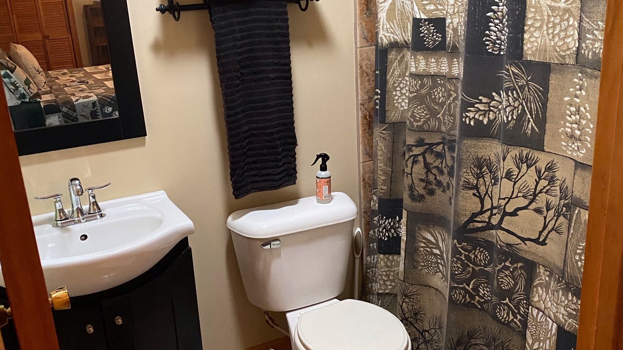 Photo of Bathroom in Topton