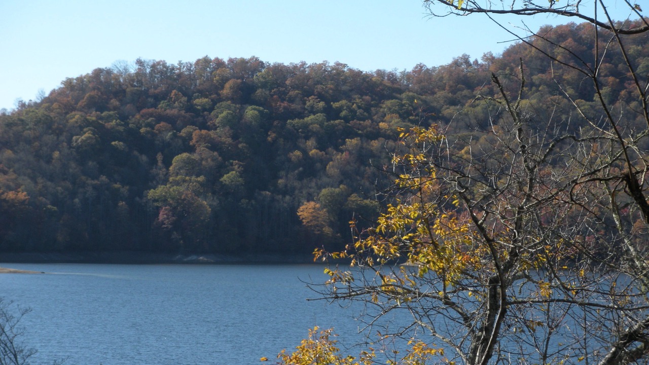 Photo of Outdoor in Topton