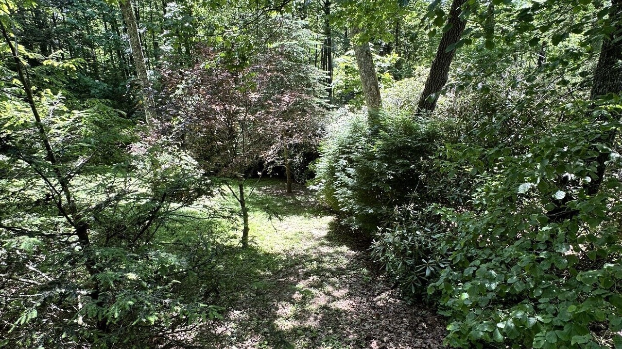 Photo of Others in Highlands