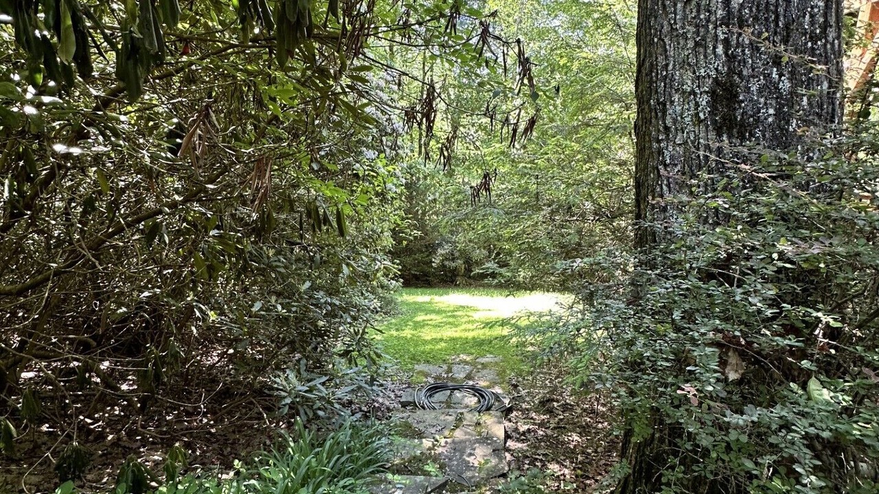 Photo of Outdoor in Highlands