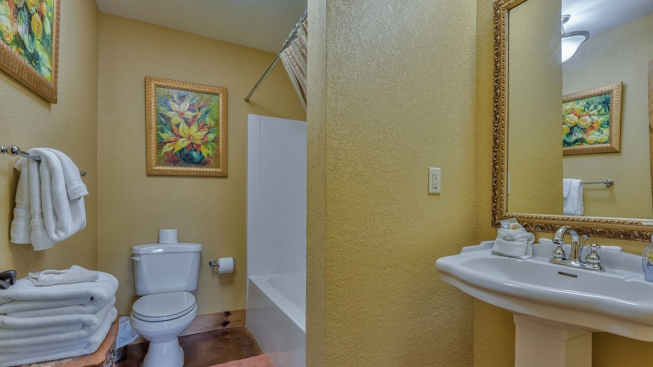 Photo of Bathroom in Mill Spring