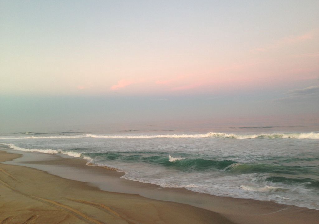 Photo of Others in South Nags Head
