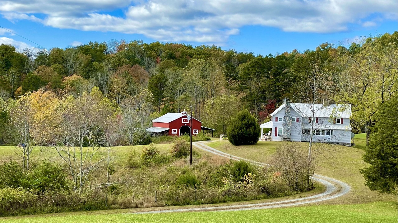 Photo of Others in Stokes
