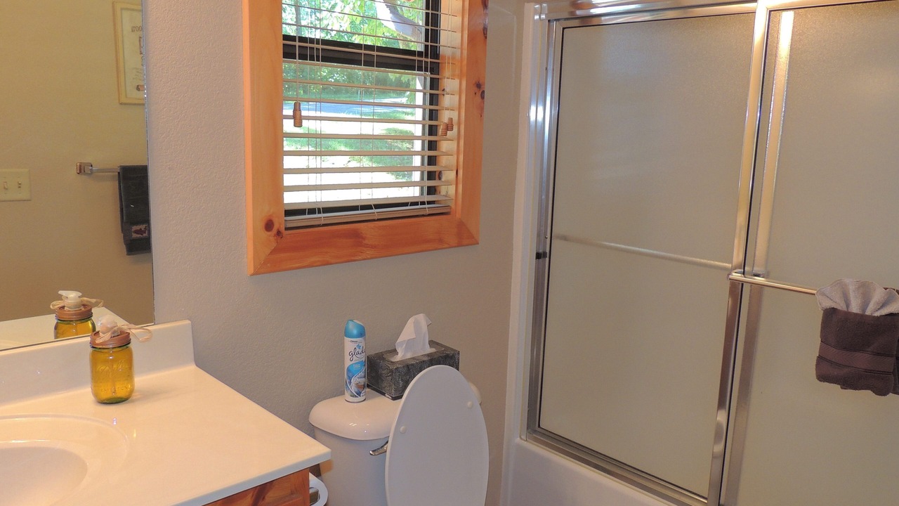 Photo of Bathroom in Murphy