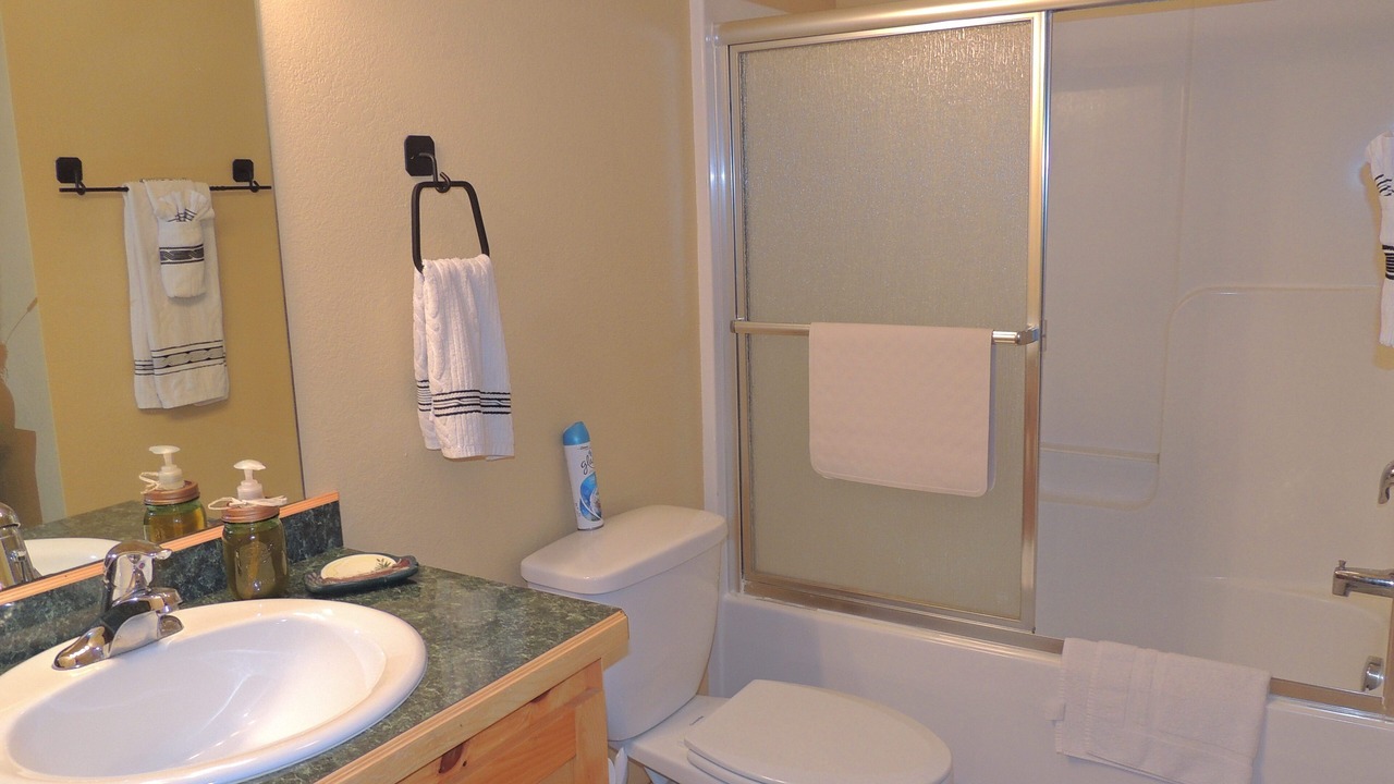 Photo of Bathroom in Murphy