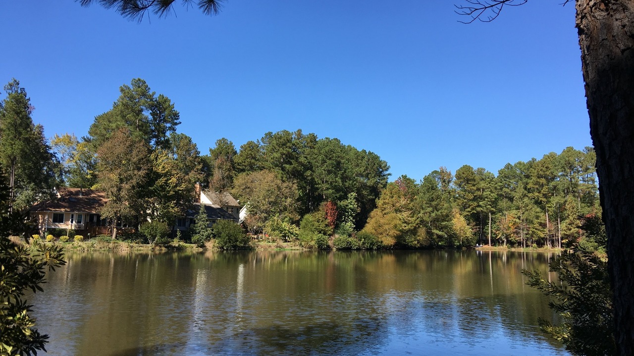 Photo of Outdoor in Durham