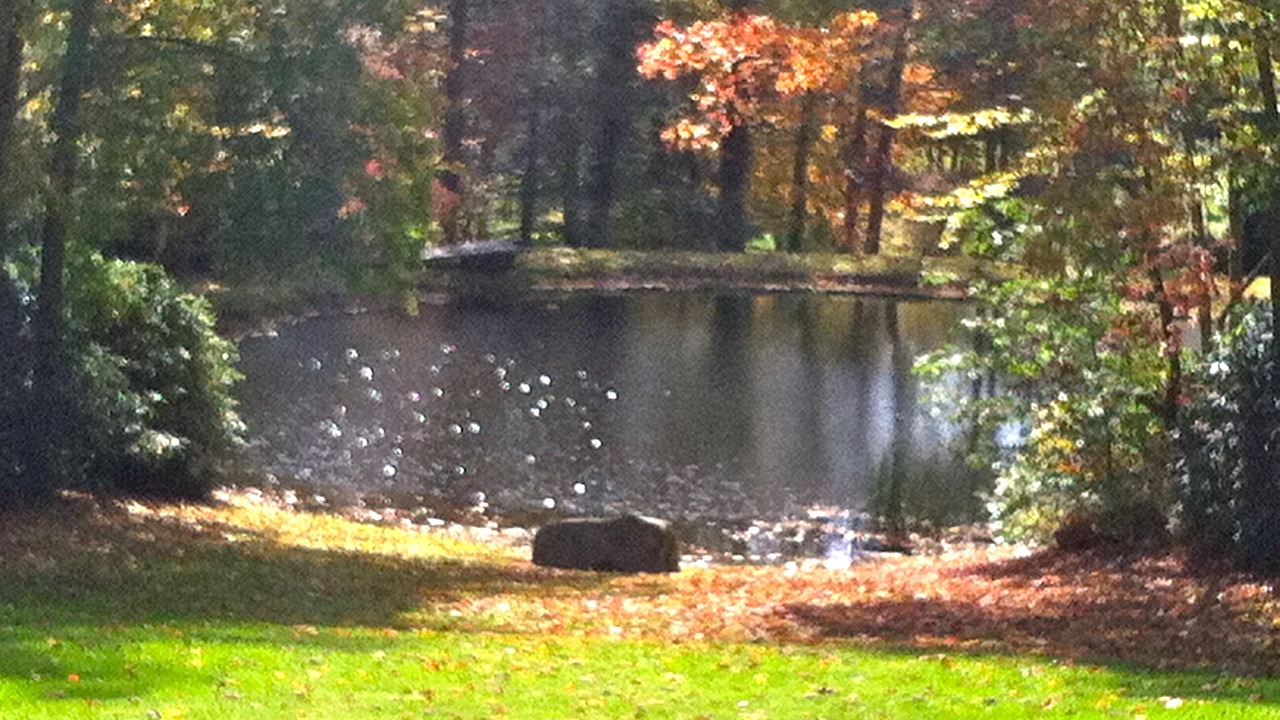 Photo of Outdoor in Andrews