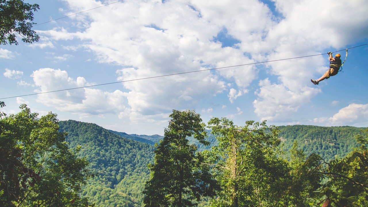 Photo of Others in Saluda