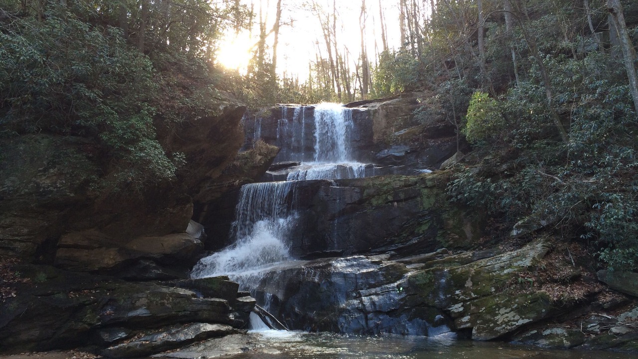 Photo of Others in Saluda