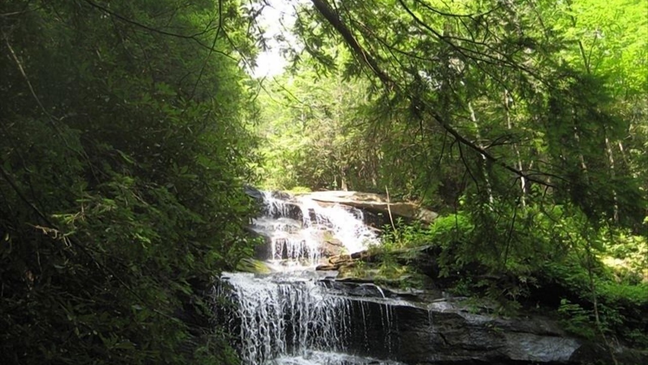 Photo of Outdoor in Old Fort