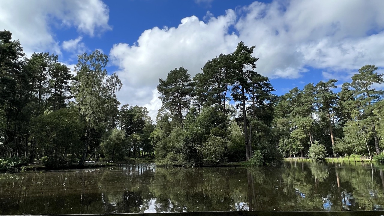 Photo of Outdoor in Hallington
