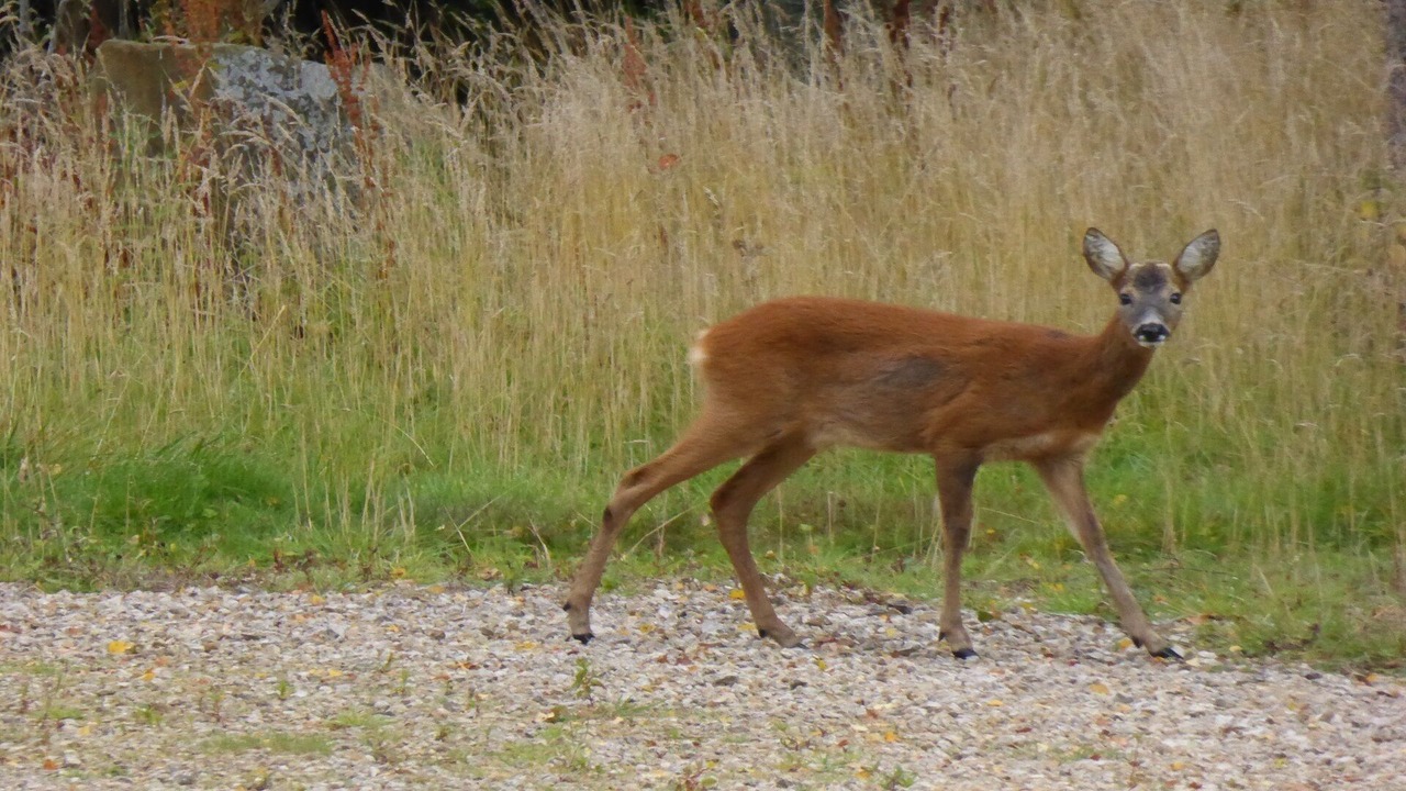 Photo of Others in Hallington