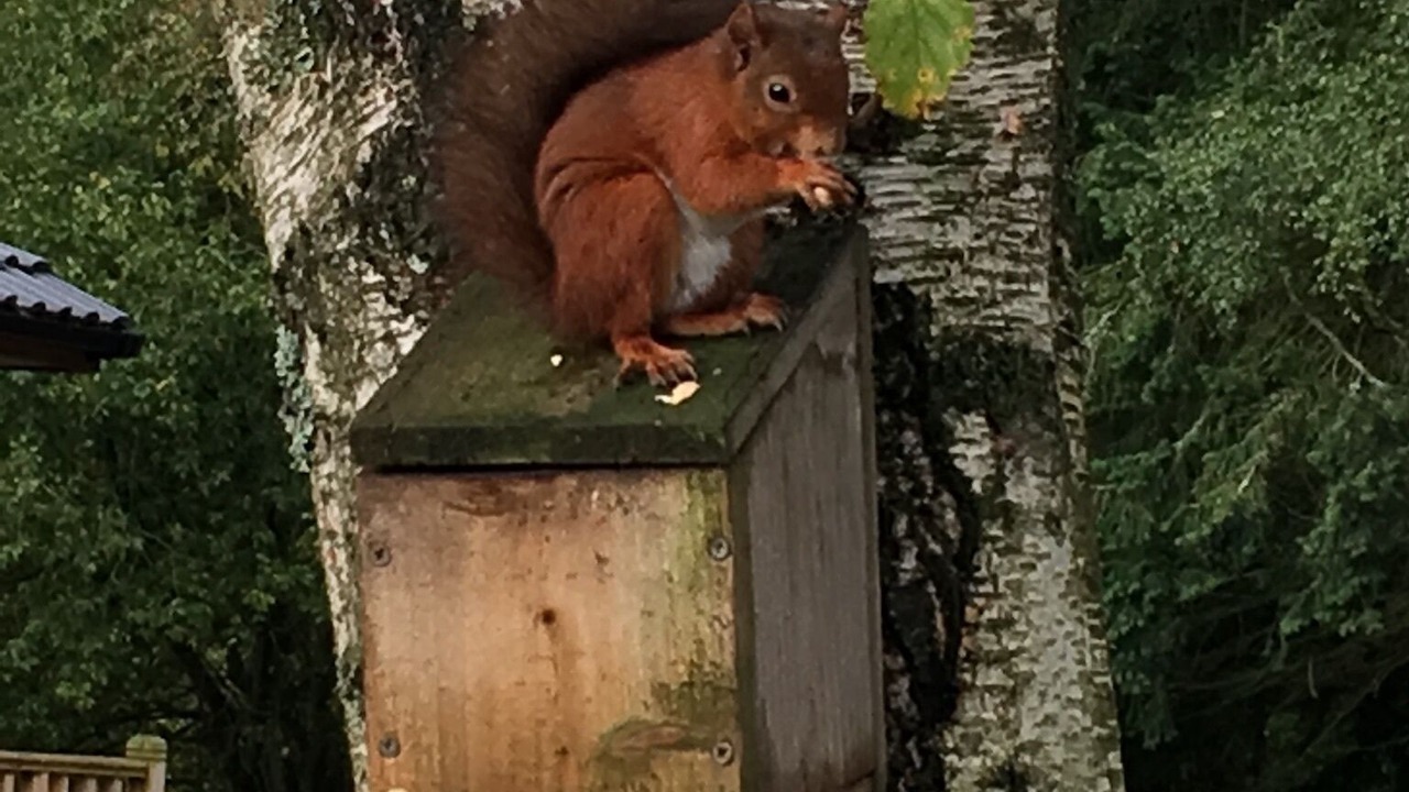 Photo of Outdoor in Hallington