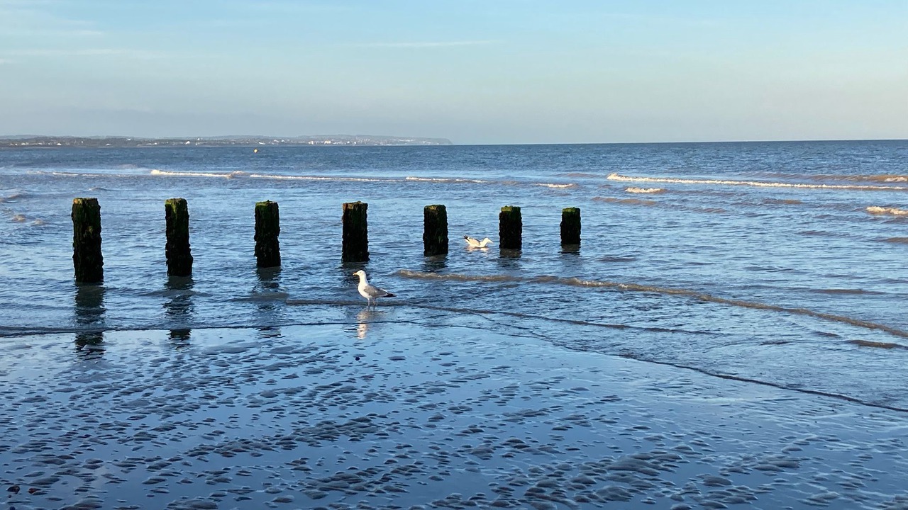 Photo of Others in Pevensey