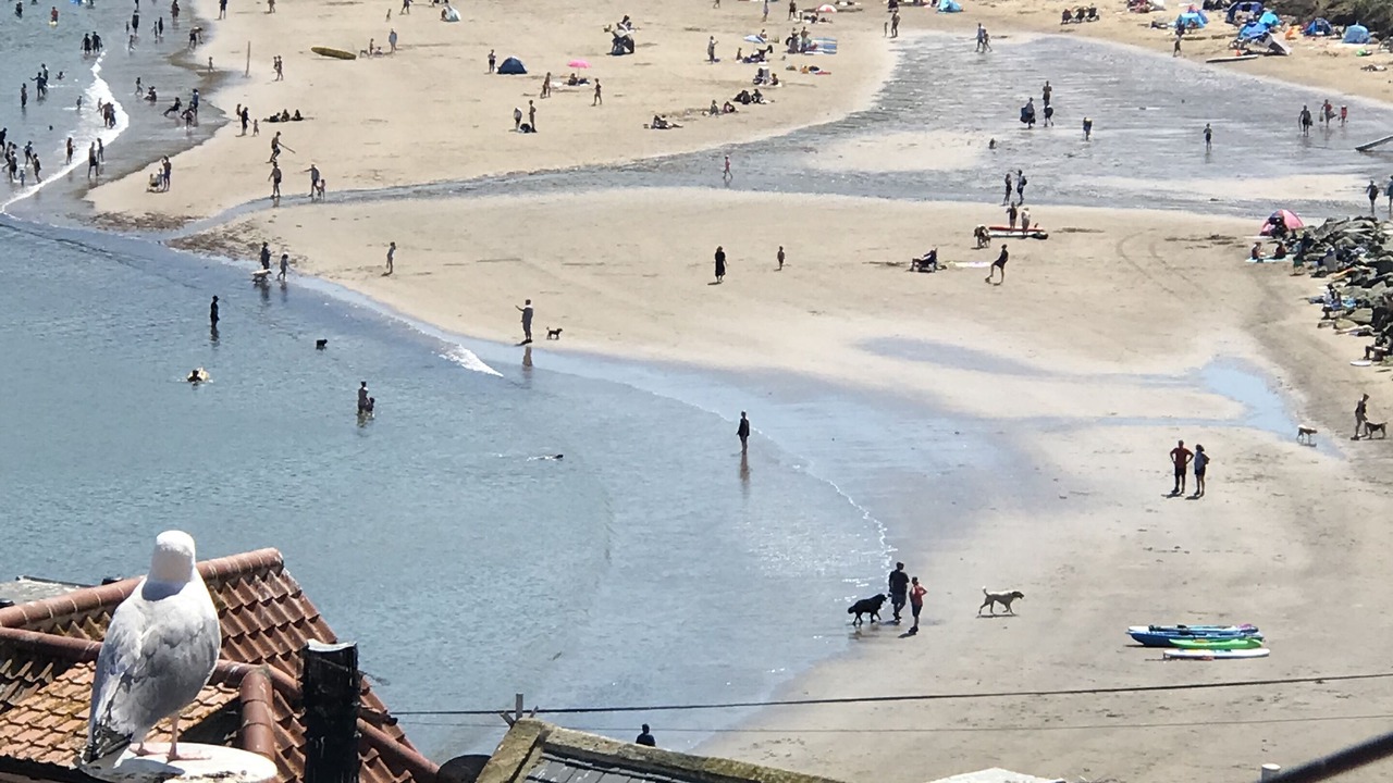Photo of Others in Runswick Bay