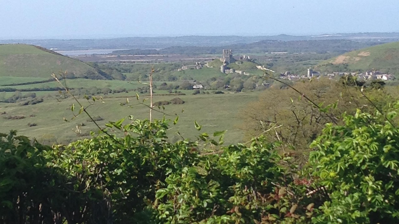 Photo of Others in Swanage